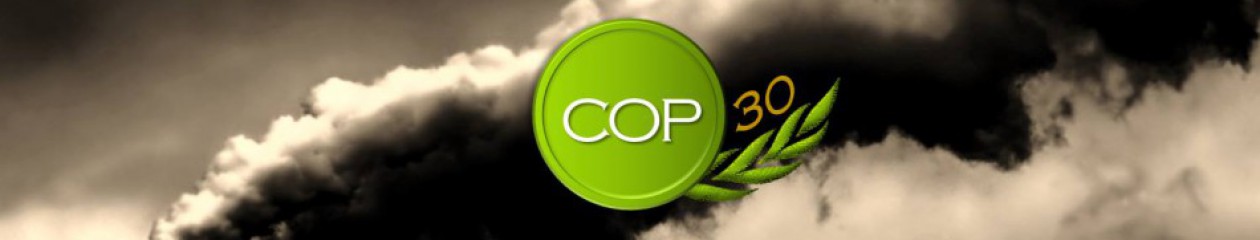 COP 2030 MINIONU 15 Anos